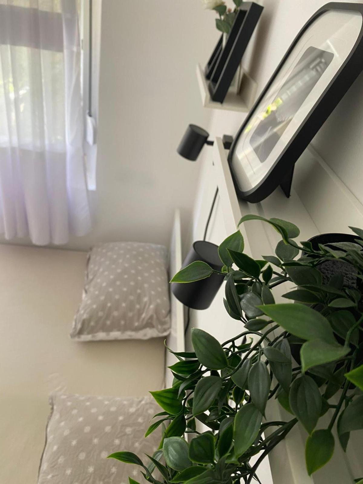 Urban Oasis Apartment Sajmiste Exteriér fotografie