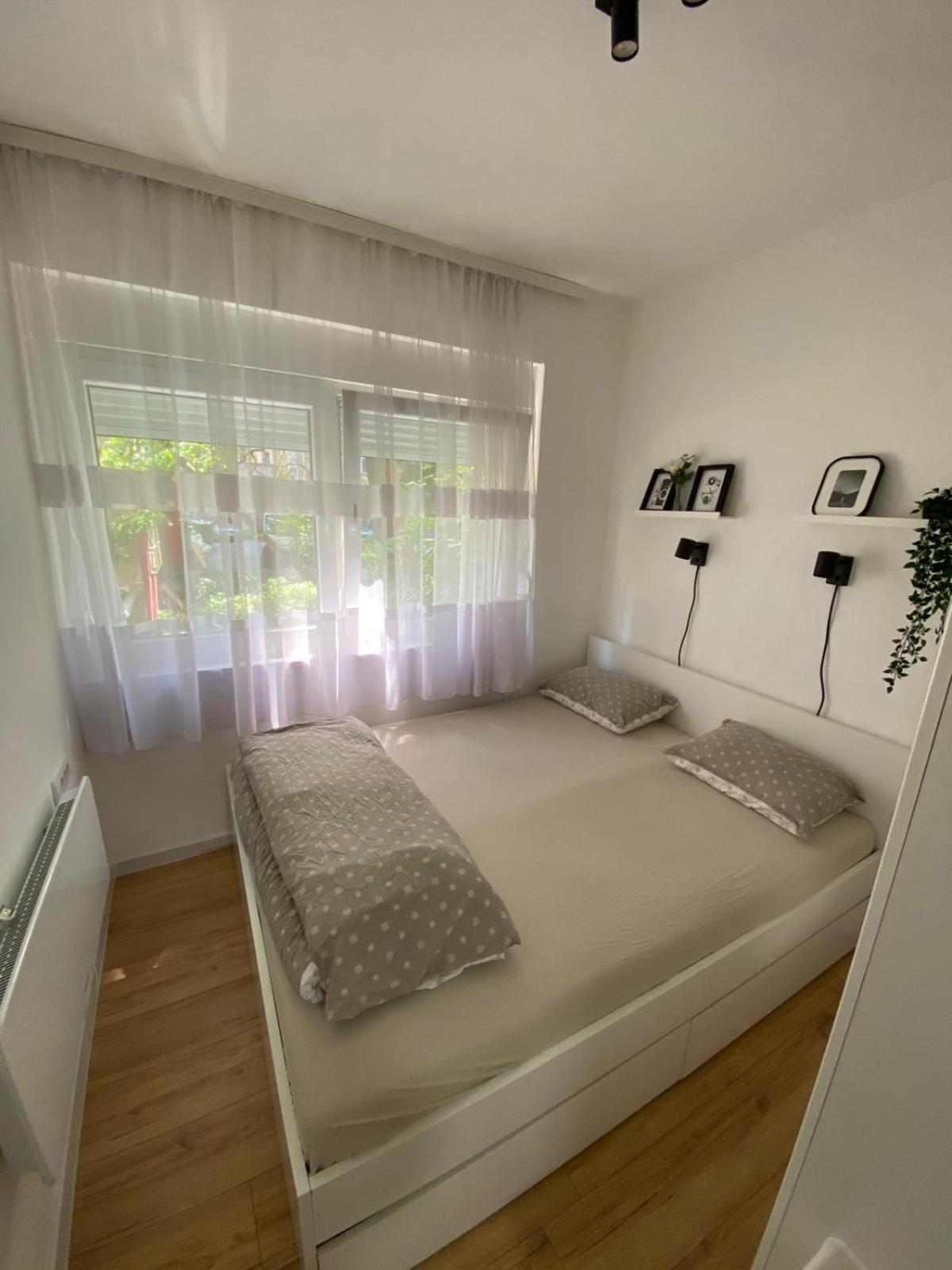 Urban Oasis Apartment Sajmiste Exteriér fotografie